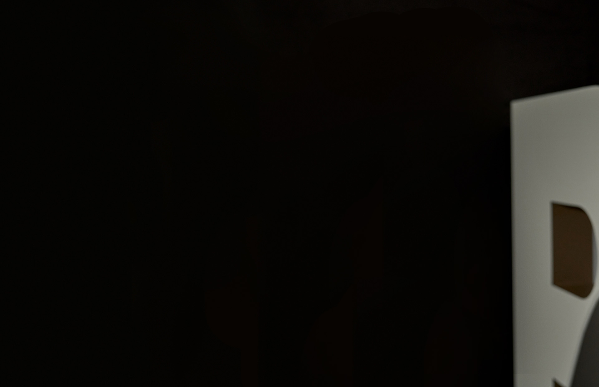 Daniel Grieder, CEO – background (photo)